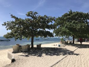 Malapascua Travel Guide